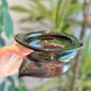 DEFLATED NUT BOWL (SMOKE)